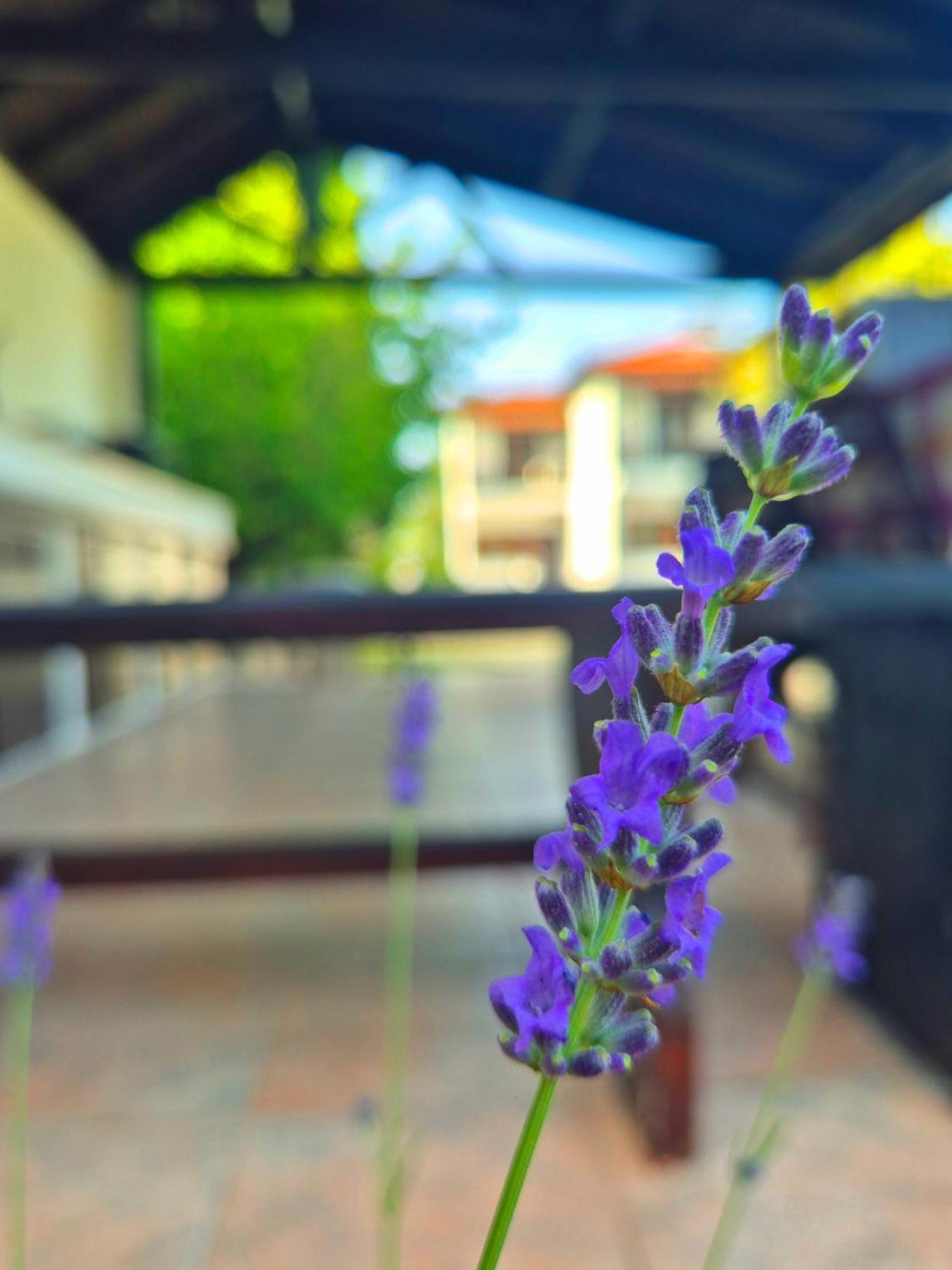 Geovilla Green & Blue 1 - Pefkochori Ngoại thất bức ảnh